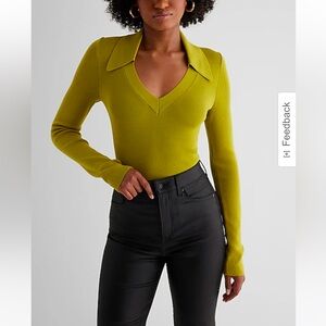 Express Silky Soft Fitted V-neck Polo Sweater